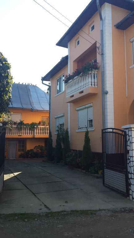 Pensiunea Covaciu Vadu Izei Exterior photo