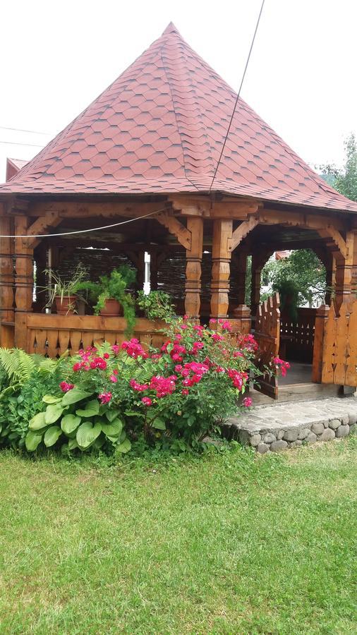 Pensiunea Covaciu Vadu Izei Exterior photo