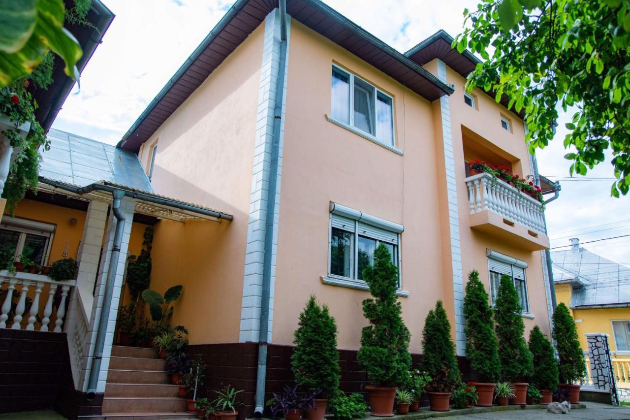 Pensiunea Covaciu Vadu Izei Exterior photo