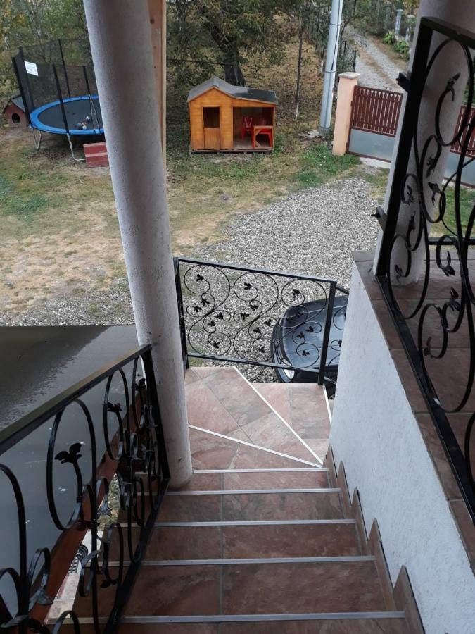 Pensiunea Covaciu Vadu Izei Exterior photo